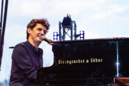 Roger Stein