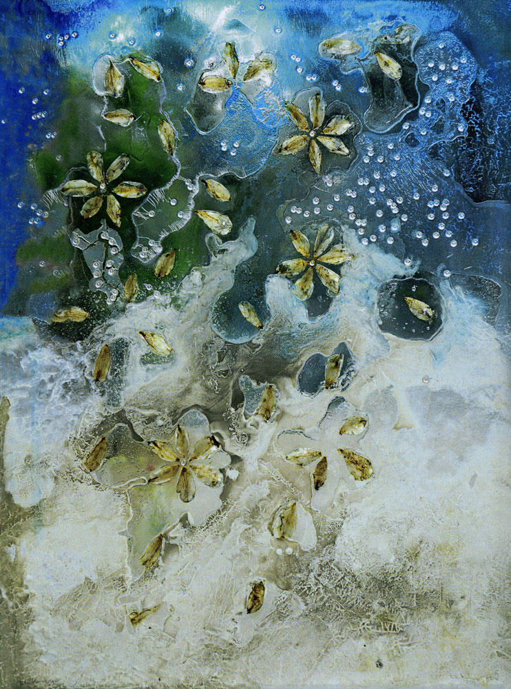 Katharina Lob Blütenregen, 2013